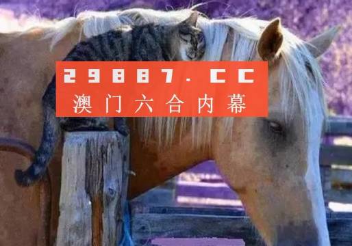 澳门资料与违法犯罪问题深度探讨