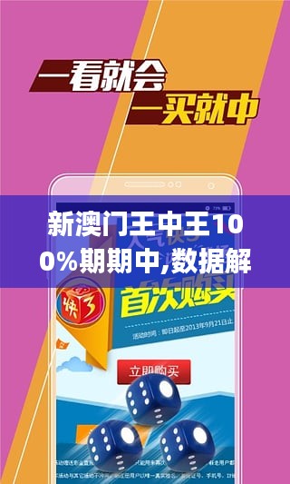 澳门精准王中王背后的风险与挑战，犯罪问题的警示与反思