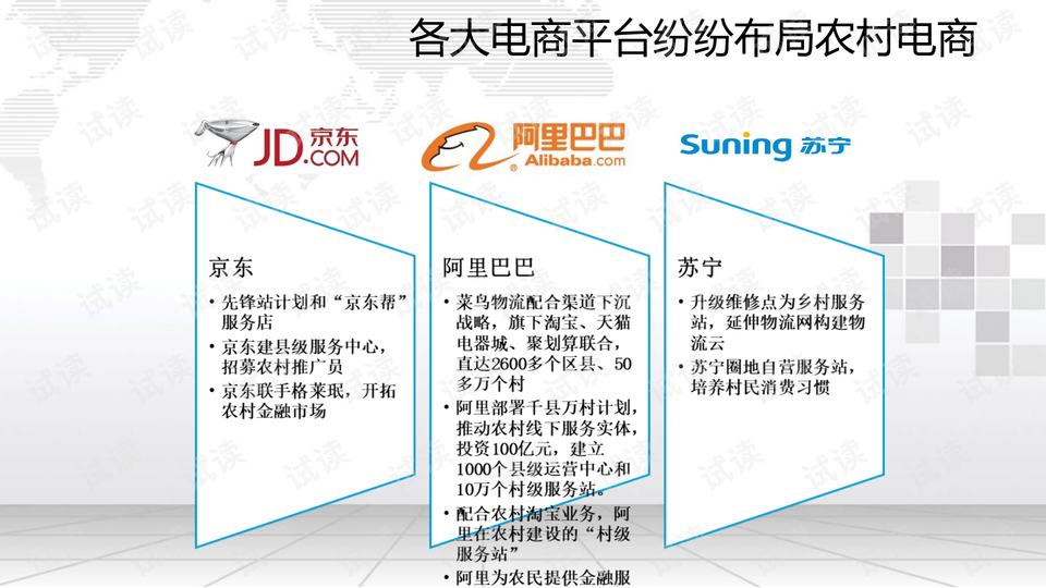 共享经济平台用户获取策略深度解析