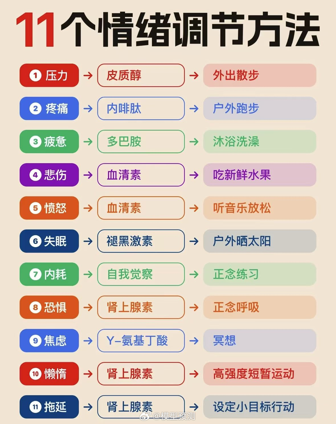 运动如何助力情绪调整与管理？