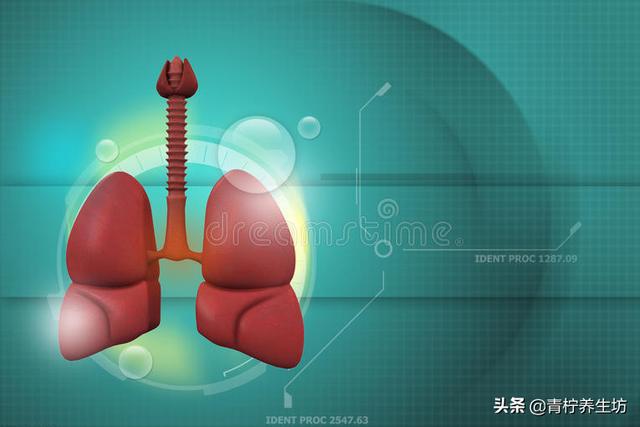 食疗秘诀，增强肺部功能的有效方法