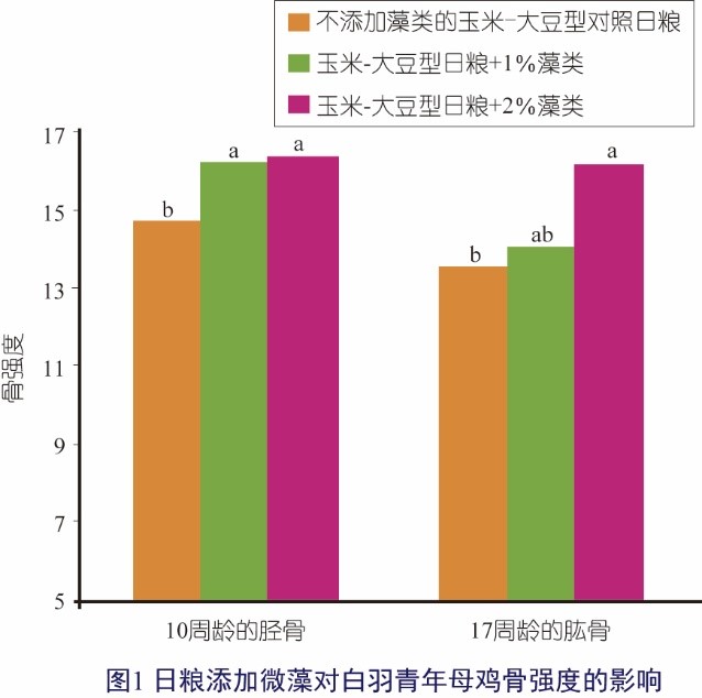 食疗食谱助力骨骼健康，增强骨密度必备良方