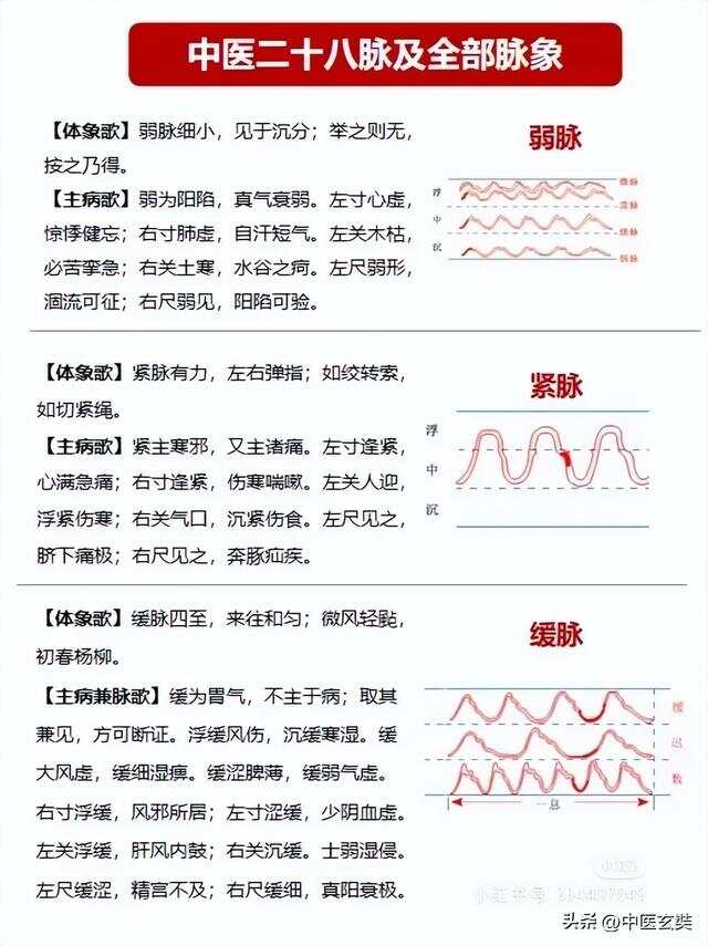 中医养生之脉诊与健康预警的奥秘