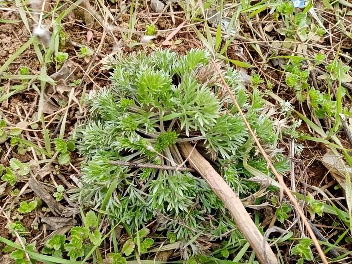 家庭教育在塑造孩子解决问题能力上的关键作用